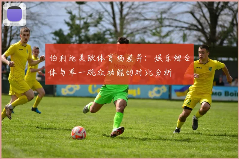 伯利论美欧体育场差异：娱乐综合体与单一观众功能的对比分析