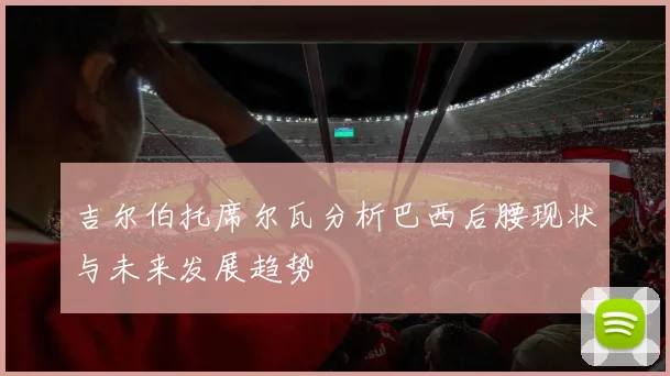 吉尔伯托席尔瓦分析巴西后腰现状与未来发展趋势